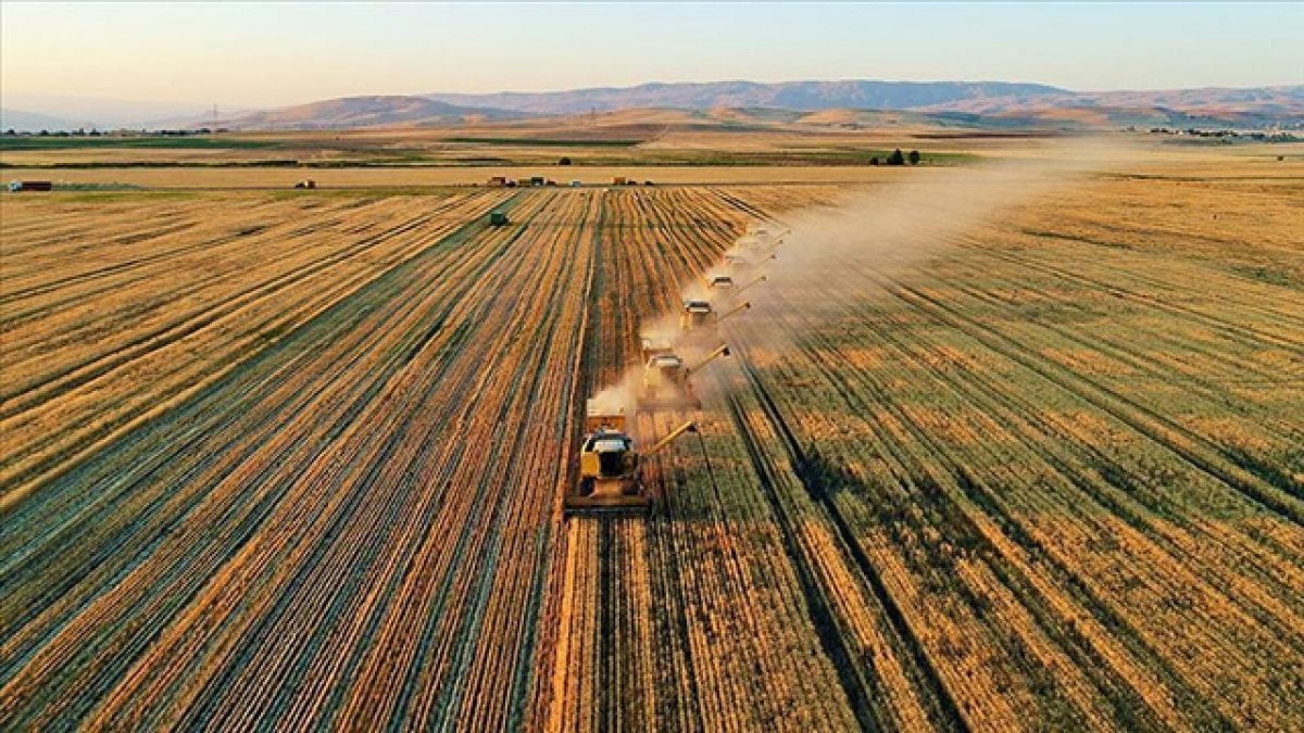 Ukraine lost 25 percent of arable land
