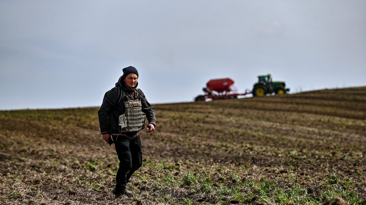 Ukraine will not be able to harvest 2.4 million hectares of winter crops