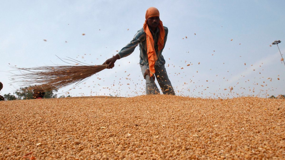 UAE suspends wheat imports from India