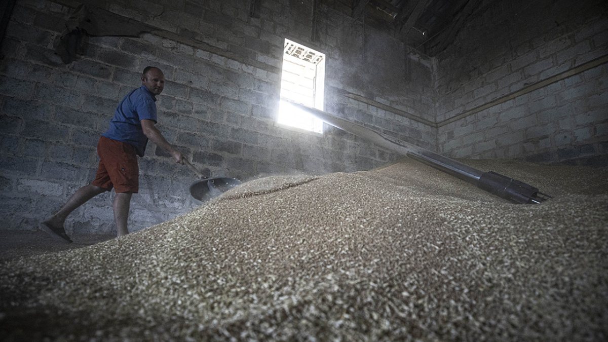 France objected to Turkey’s plan for the distribution of Ukrainian grain