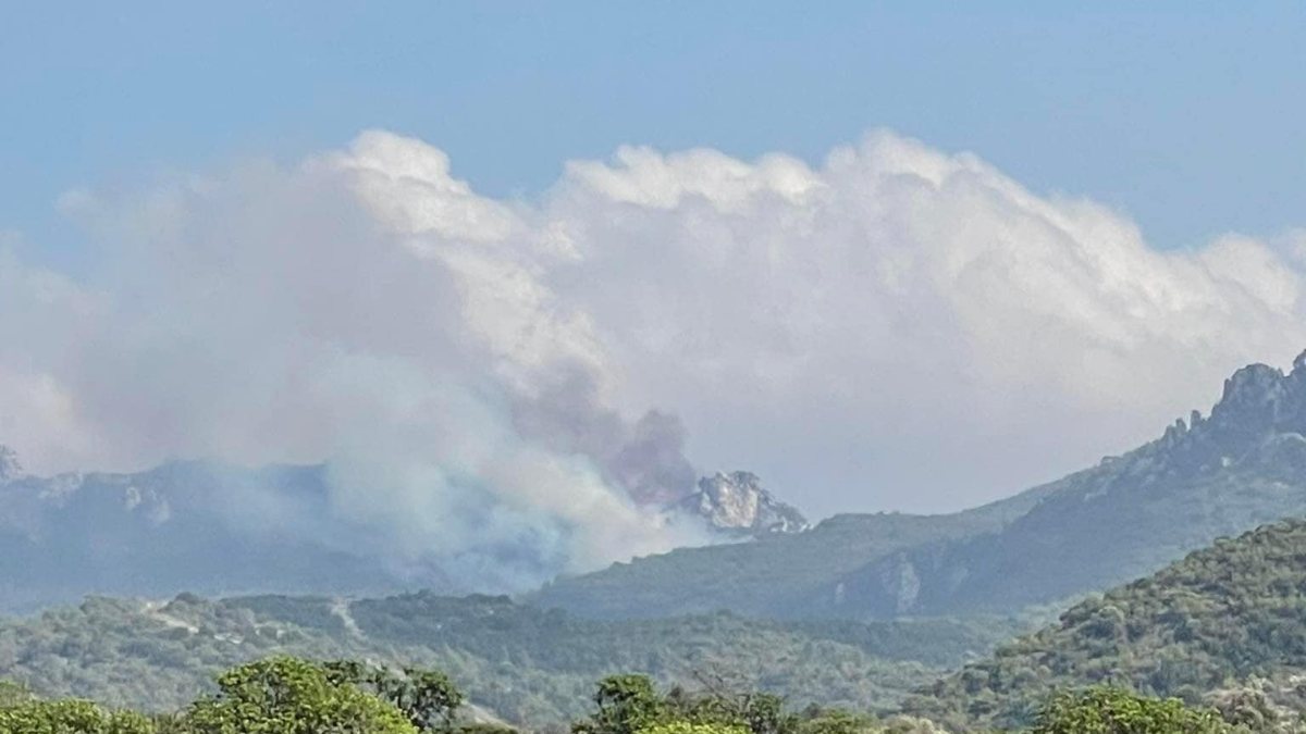 Forest fire occurred at 3 points in TRNC