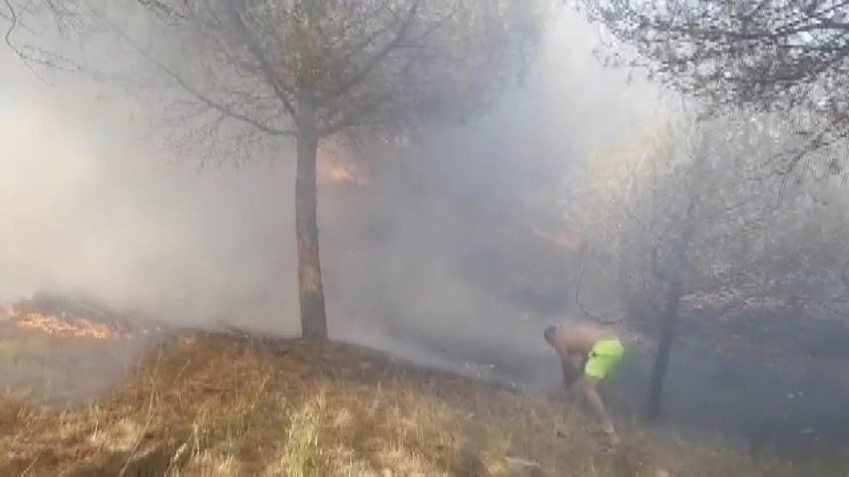 İstanbul'da orman yangını 