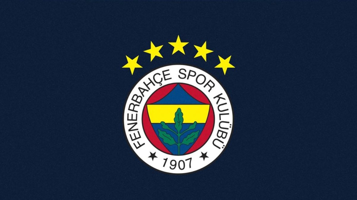 Transfer mobility in Fenerbahçe