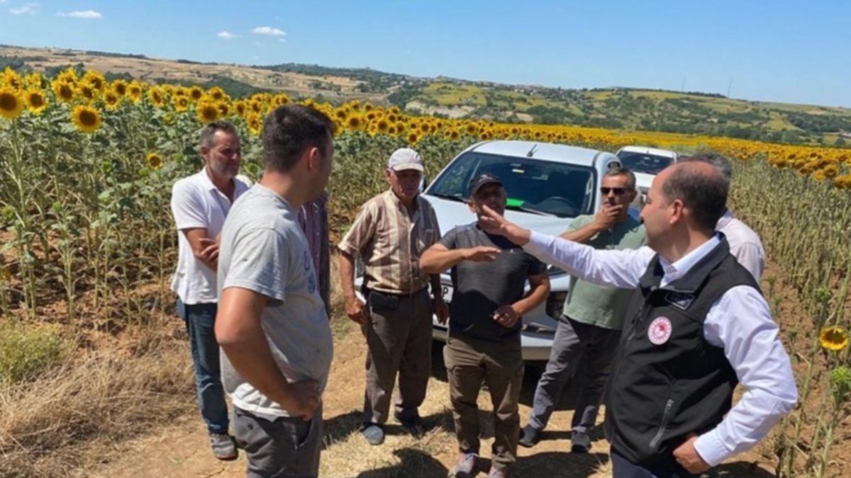 Trakya'da istilacı çayır tırtılını inceleme çalışmaları başladı