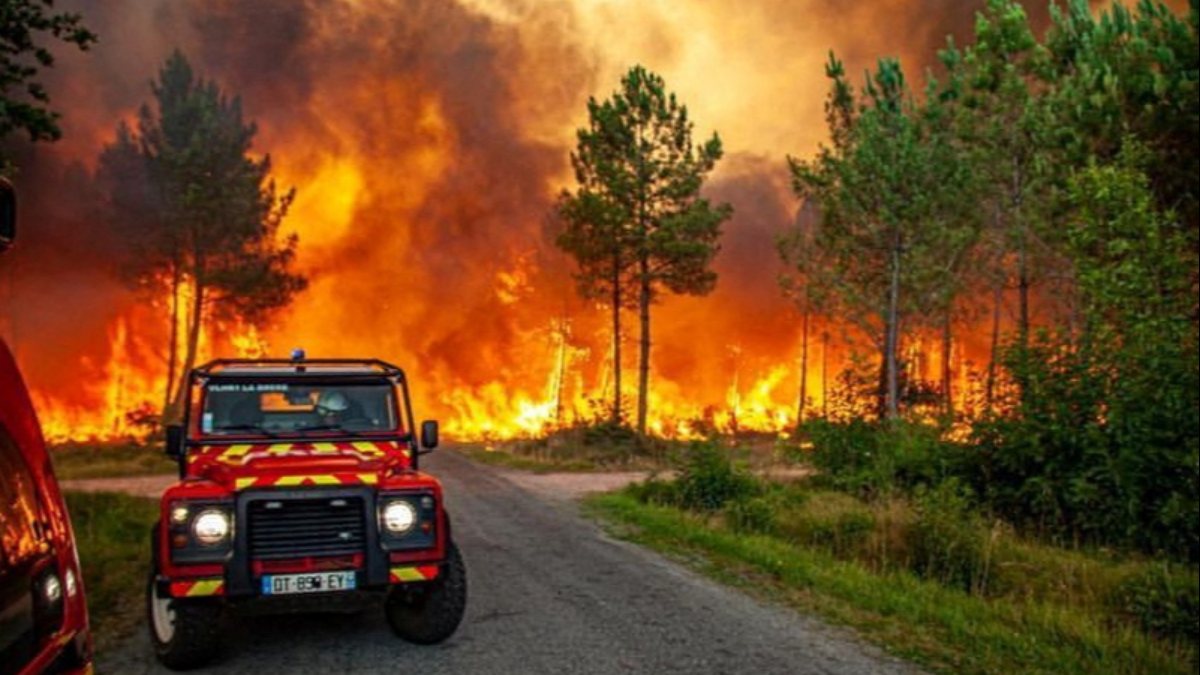 Extreme heat triggered wildfires in Europe and the USA