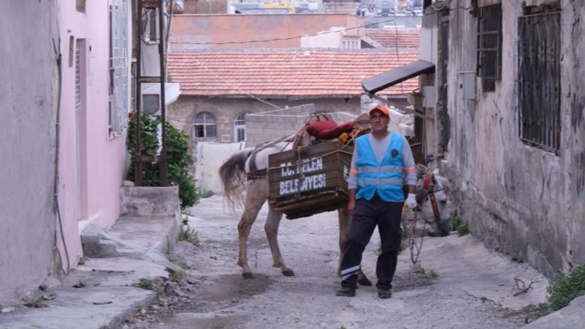 Hatay'da araçların giremediği sokaklarda çöpler atlarla toplanıyor