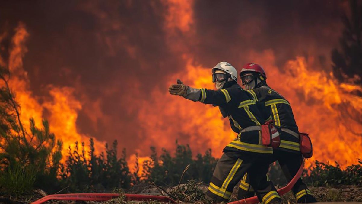 Europe cannot prevent fires
