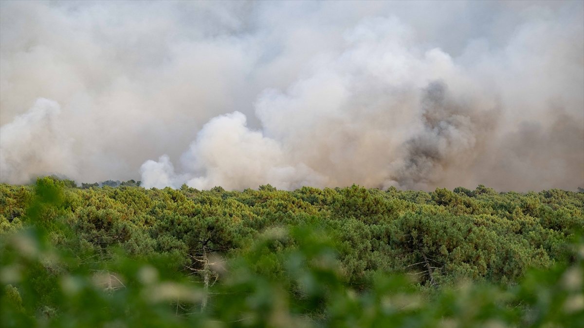 Europe’s forest fire balance sheet