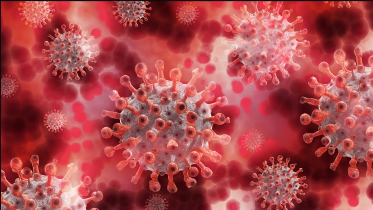 Vaccination against monkeypox virus begins in the Netherlands