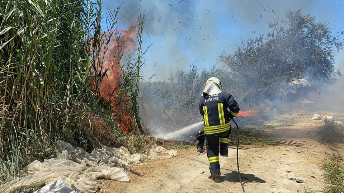 Muğla'da kullanılmayan minibüste çıkan yangın sazlık alana yayıldı