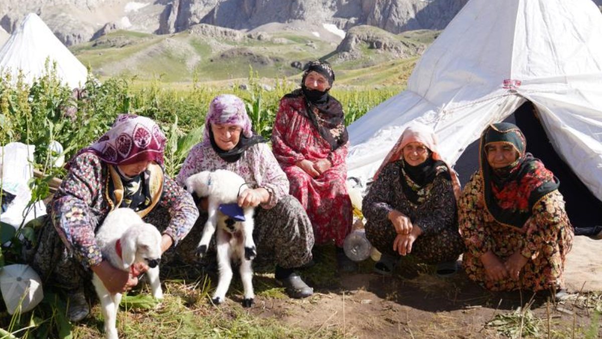 Munzur dağı eteklerindeki yaylada çadırlarda mutlu hayat