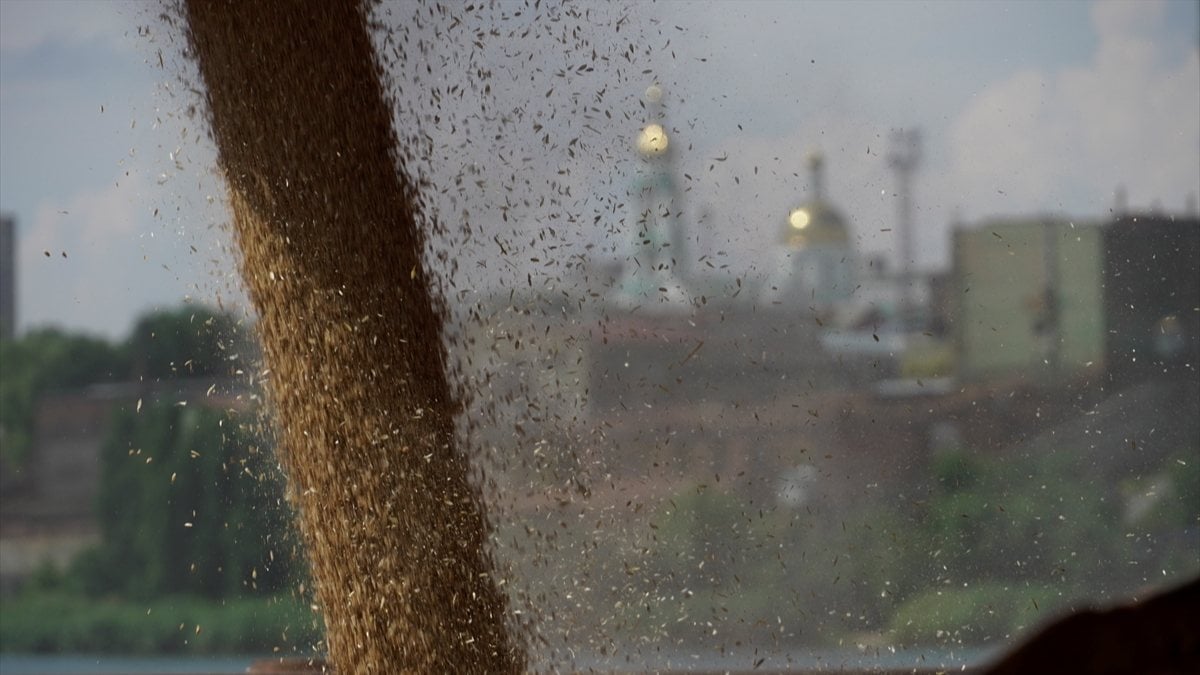 After Ukraine, grains are loaded onto ships in Russia.