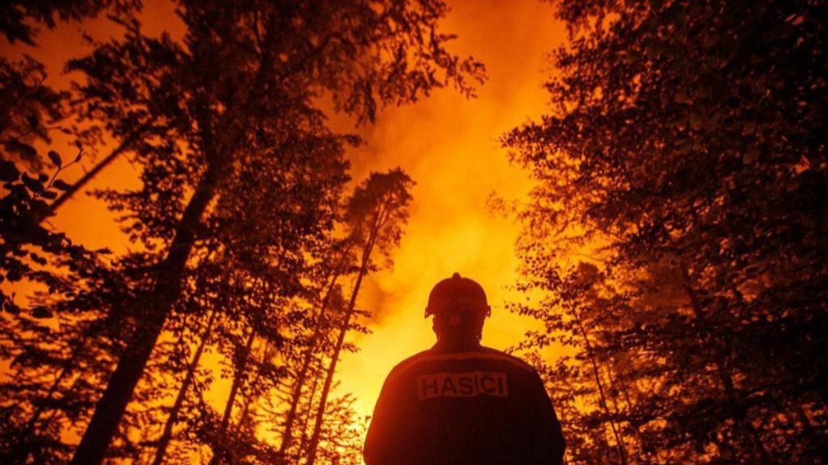 A thousand hectares of land turned to ash in a forest fire in Czechia