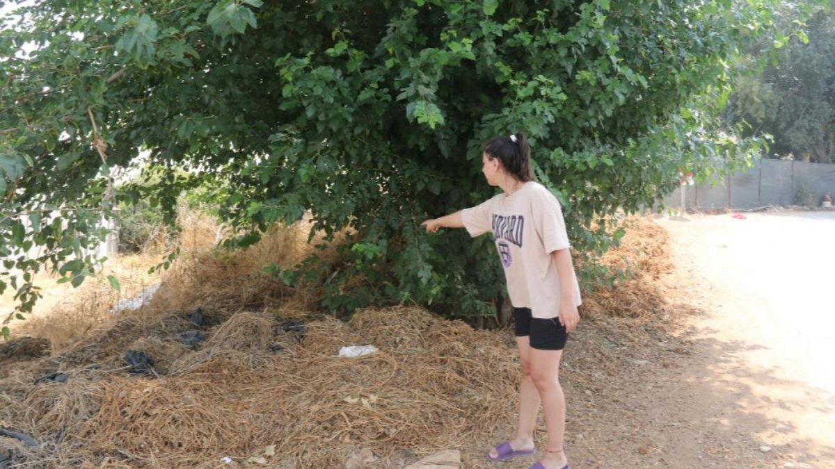 Antalya’da ağaç altında 10 günlük bebek bulundu