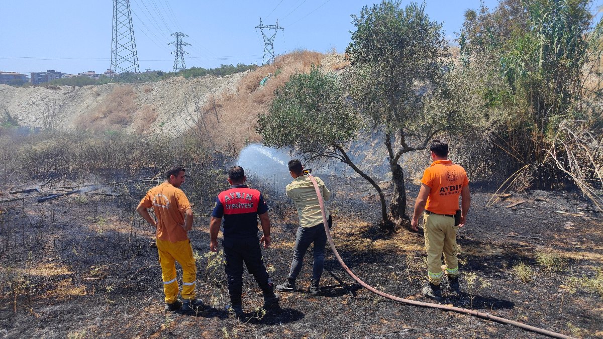 Aydın'da araziye atılan cam şişeleri zeytinlikte yangın çıkardı
