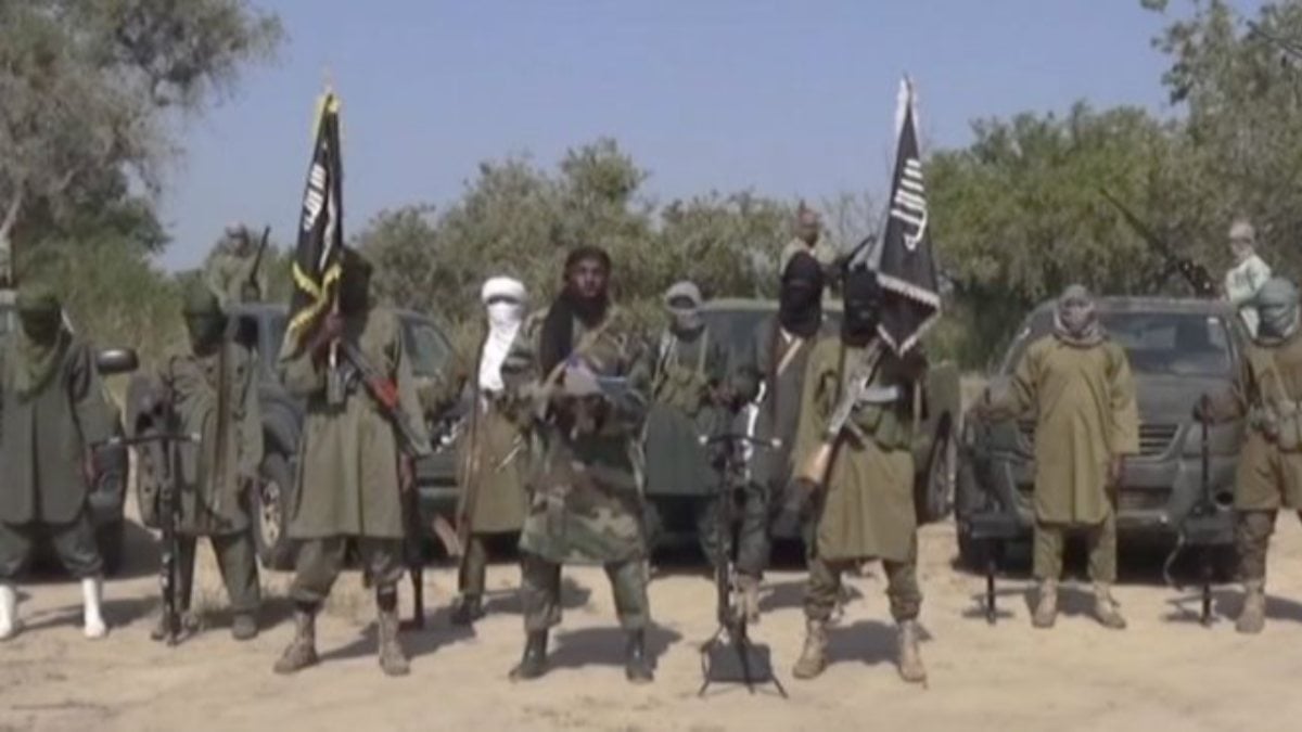 29 Boko Haram members killed in Nigeria