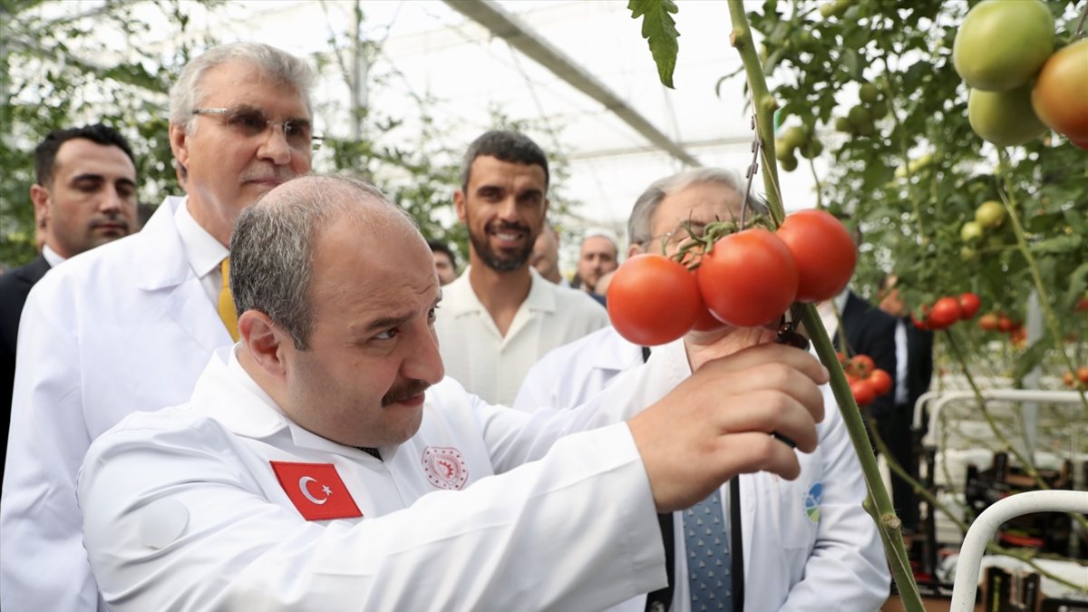 Mustafa Varank, Sakarya'da Seracılık Mükemmeliyet Merkezi'ni gezdi