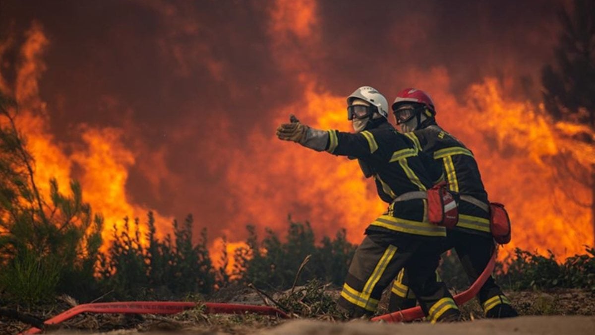 İngiltere'de bu yıl çıkan orman yangını sayısı açıklandı