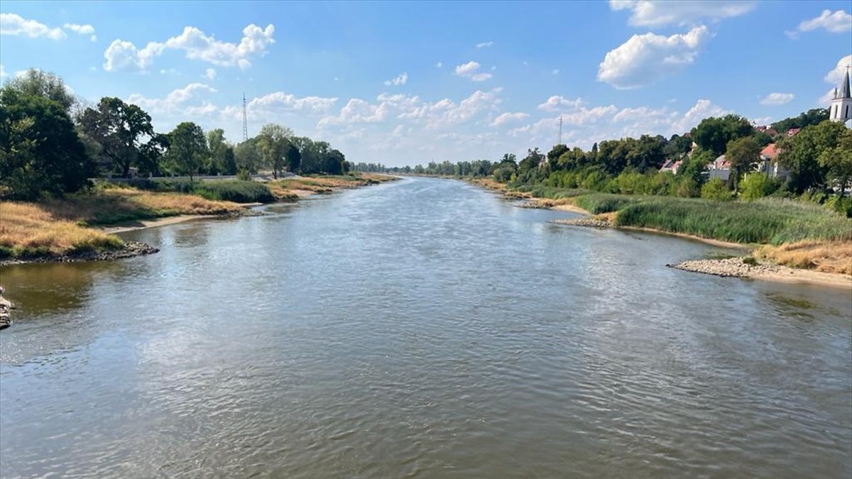 In Poland, mass fish deaths occurred in the river