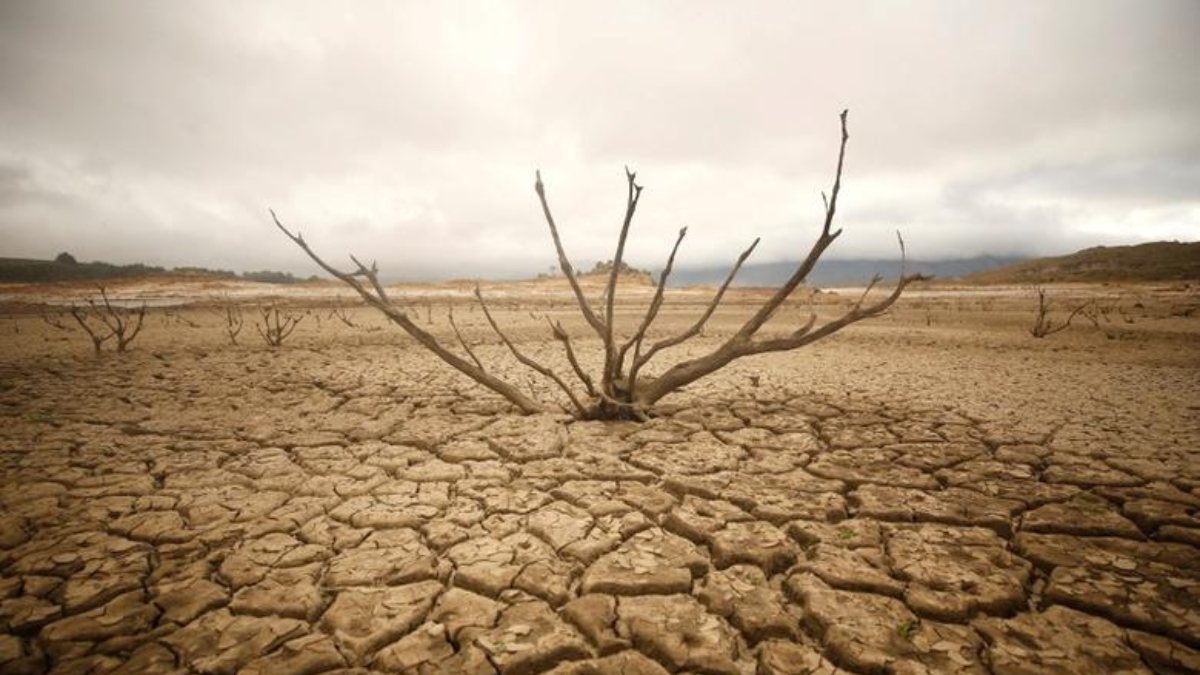 Warning from experts: You haven’t seen anything in the drought yet