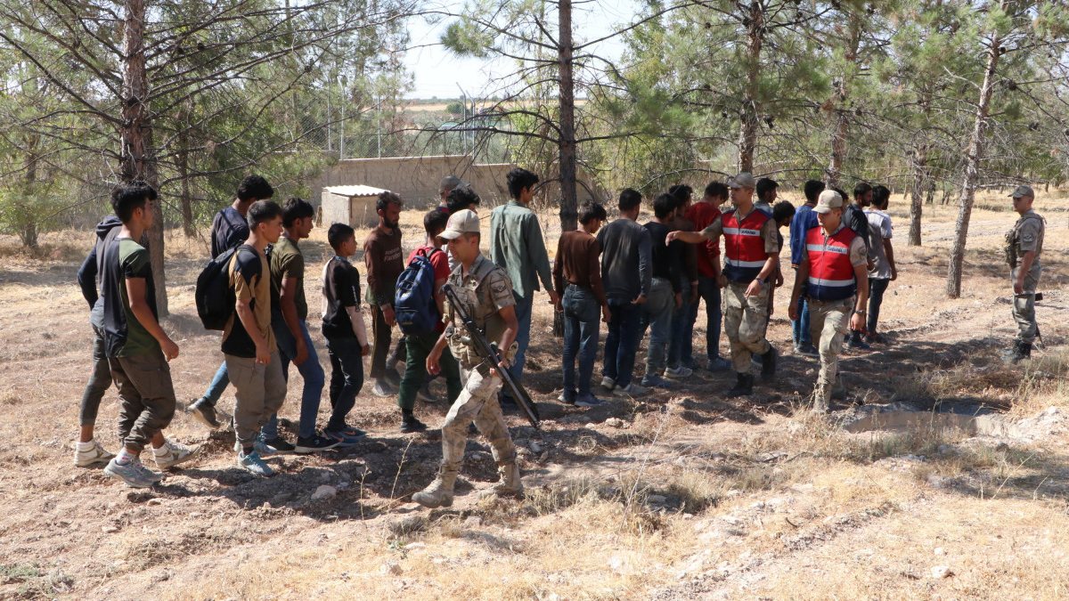 Şanlıurfa'da fıstık bahçesinde saklanan 28 kaçak göçmen yakalandı