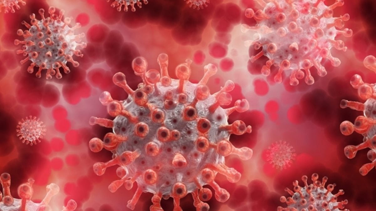 Human-to-dog monkeypox virus in France