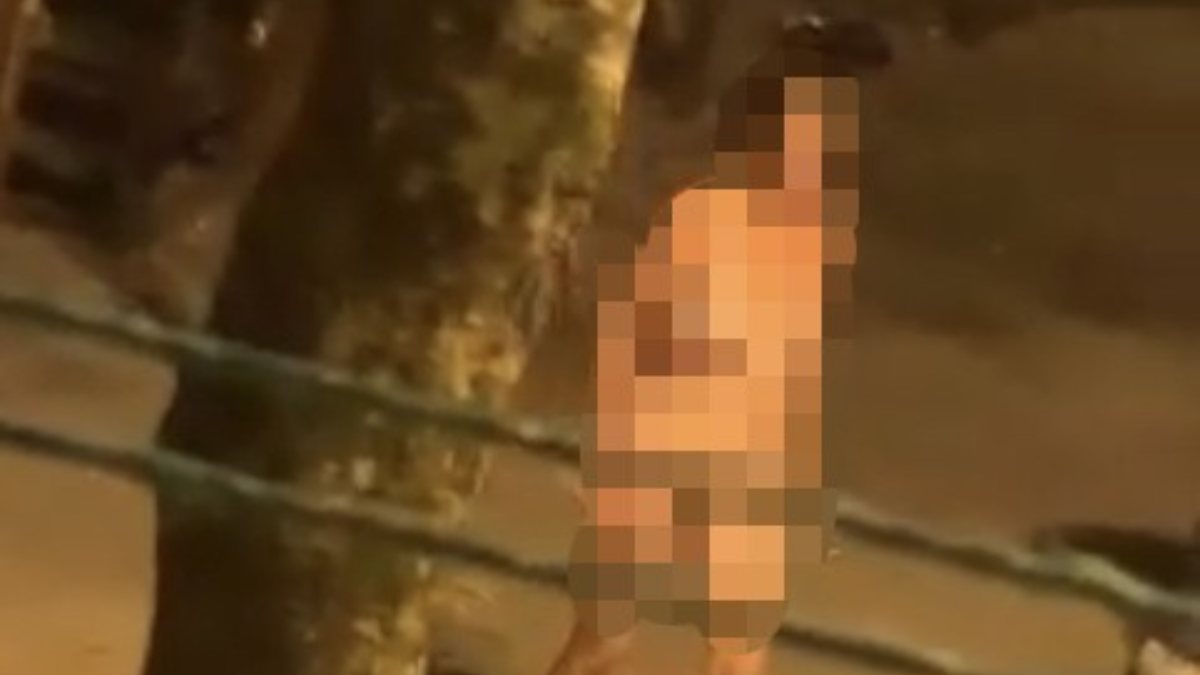 İstanbul'da çıplak vaziyette etrafa saldırdı, olay çıkardı