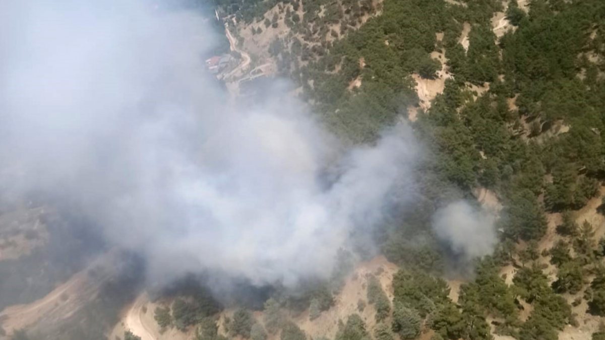 Kaş'taki orman yangınında 1 dekar alan zarar gördü