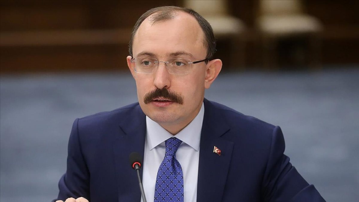 Mehmet Muş'tan doğalgaz zammı açıklaması