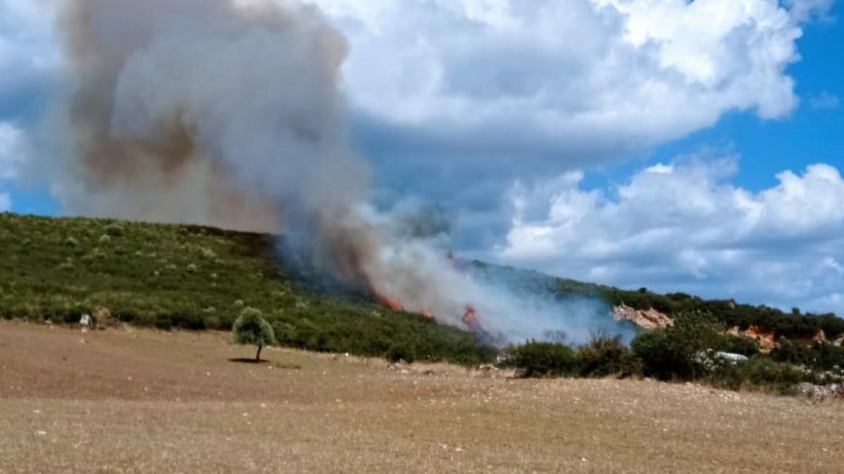 Çanakkale'de orman yangını başladı