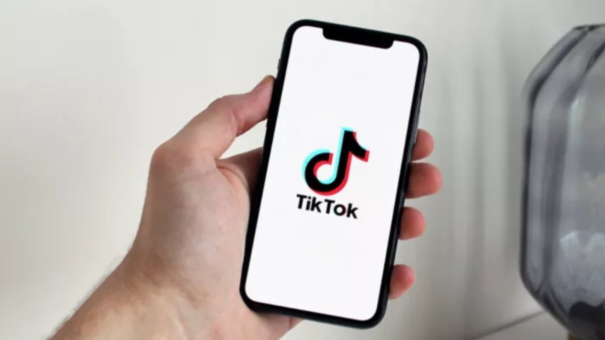 TikTok, 113 milyondan fazla videoyu kaldırdı