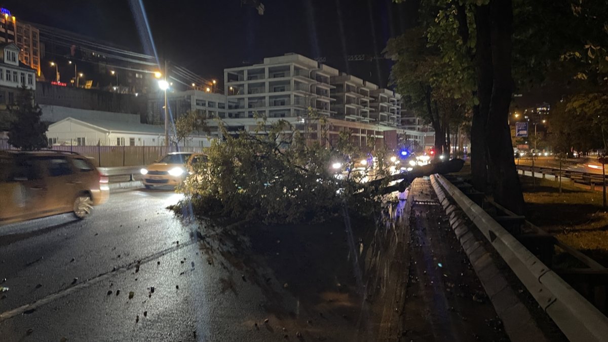 Trabzon'da şiddetli rüzgar ağaçları devirdi