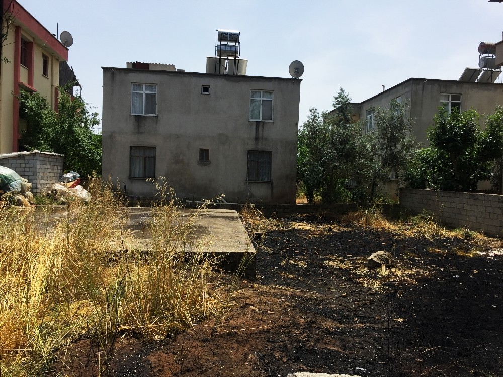 Yılandan korktu mahalleyi ateşe verdi