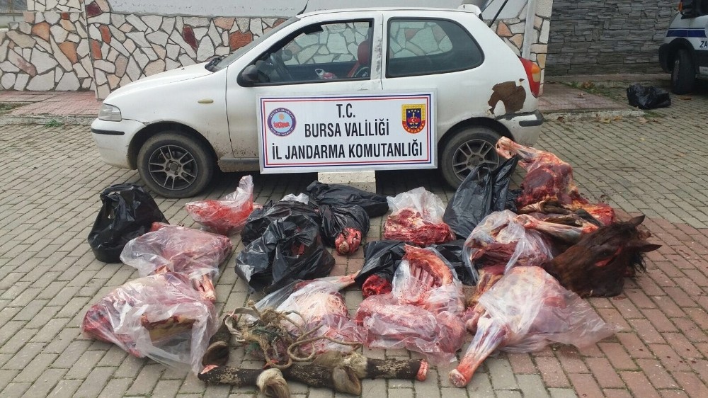 Bursa'da at eti satanlara baskın 