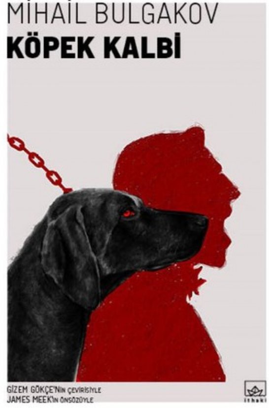 İnsana dönüşen köpeğin romanı: Köpek Kalbi