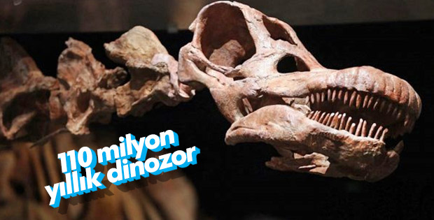 Arjantin’de yeni bir dinozor türü bulundu