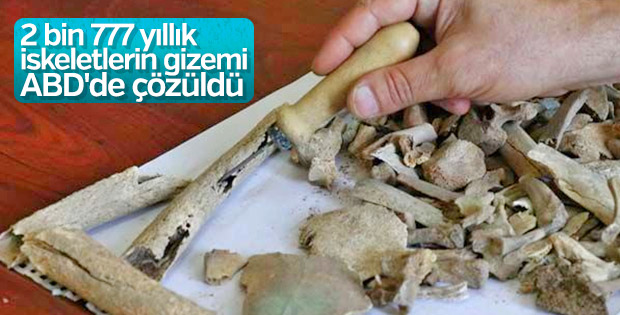 Van'da bulunan iskeletinin sırrı ABD'de çözüldü