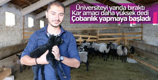 Üniversiteyi bırakıp çoban oldu