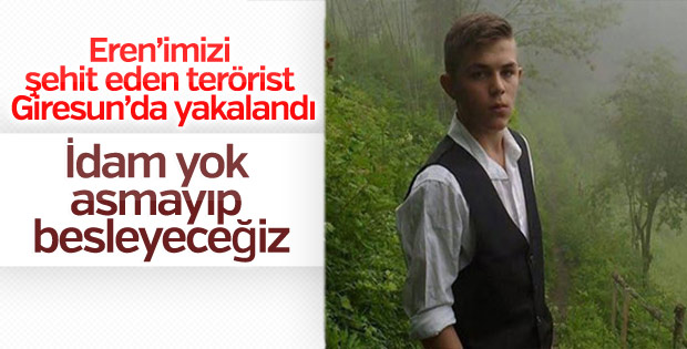 Eren Bülbül'ü şehit eden terörist yakalandı