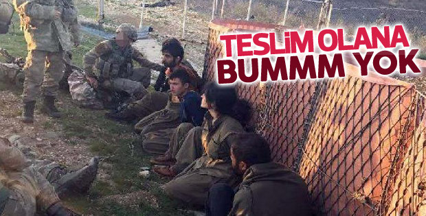 Tunceli'de 4 PKK'lı teslim oldu