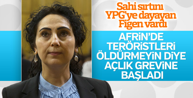 Tutuklu HDP'lilerden Afrin operasyonuna karşı açlık grevi
