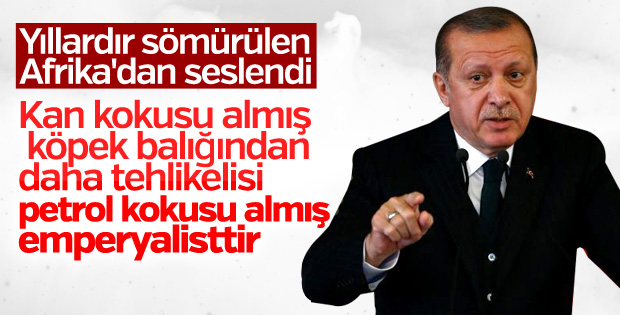 Cumhurbaşkanı emperyalistleri köpek balığına benzetti