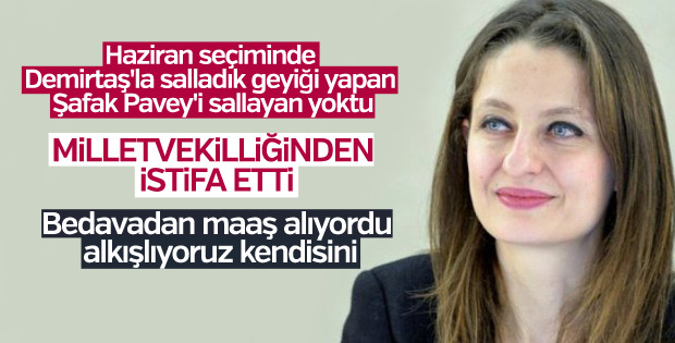 Şafak Pavey'den milletvekilliğinden istifa kararı