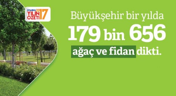 İstanbul ağaca, İstanbullular oksijene doyacak