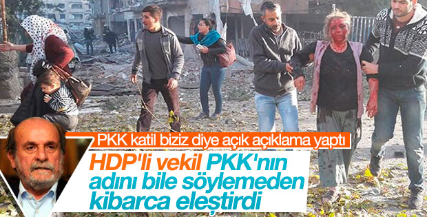 HDP'li Ertuğrul Kürkçü'den PKK'ya tepki