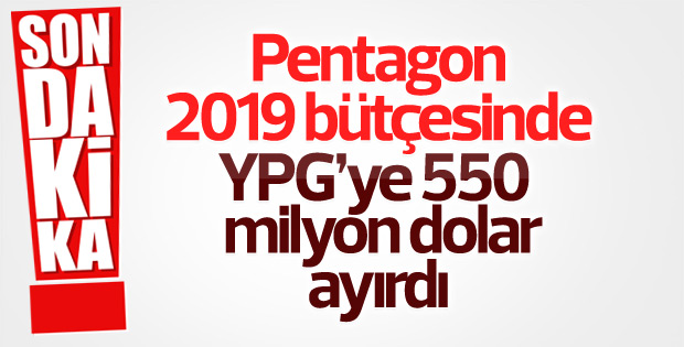 Pentagon 2019 bütçesinde YPG'ye ayırdığı bütçeyi açıkladı