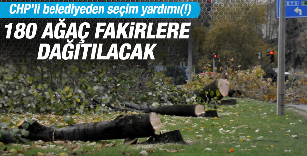 Yalova'da kesilen ağaçlar ihtiyaç sahiplerine dağıtılacak