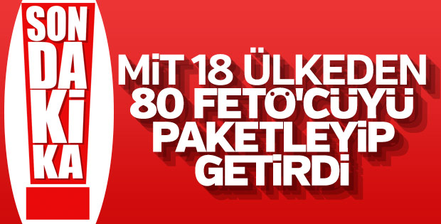 Yurt dışında FETÖ operasyonları