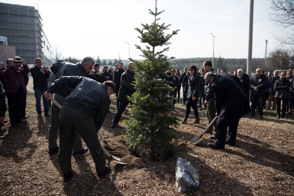 ODTÜ'de şehit Karaman'ın anısına ağaç dikildi 