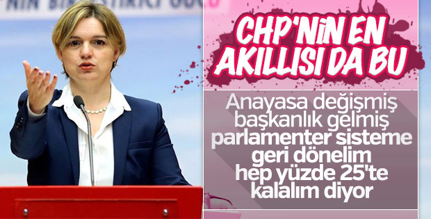 Selin Sayek Böke'den 'çatı aday' açıklaması